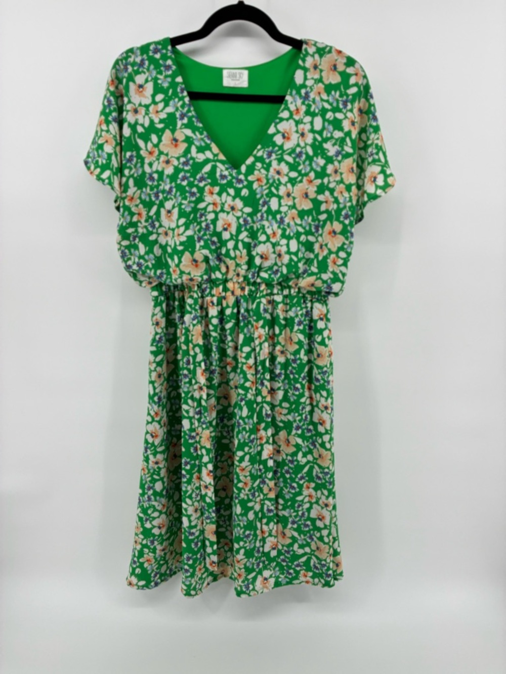 Sienna Sky Green Floral V-Neck Dress